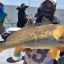 1501_pique_pesca