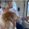 El vuelo bautismo de Dylan, el perro presidencial