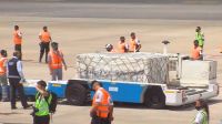La descarga de las vacunas Sputnik V en Ezeiza.