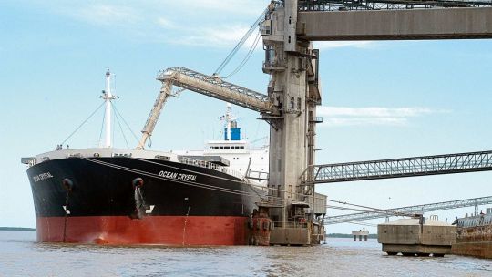 Exportación de granos