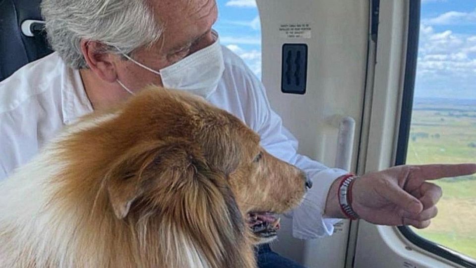 Alberto Fernández con Dylan: la foto que causó polémica.