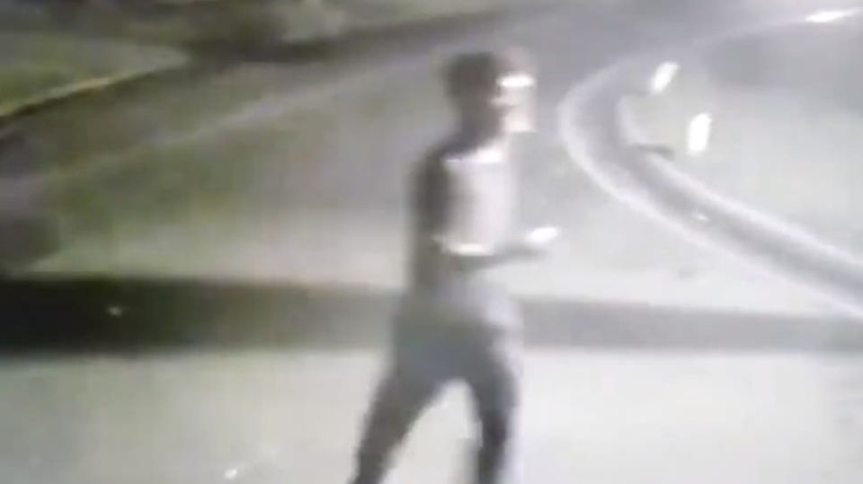 Adolescente Desaparecido Tigre