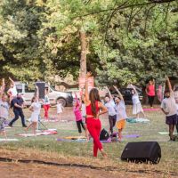 Escuela de Natha Yoga