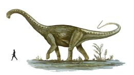 titanosaurio