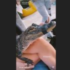 Lele Pons y Stefi Roitman con el cocodrilo