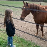 Mauro Icardi celebró los 6 años de Francesca llevándola a cabalgar