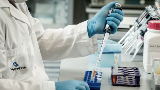 Polémica por suero equino