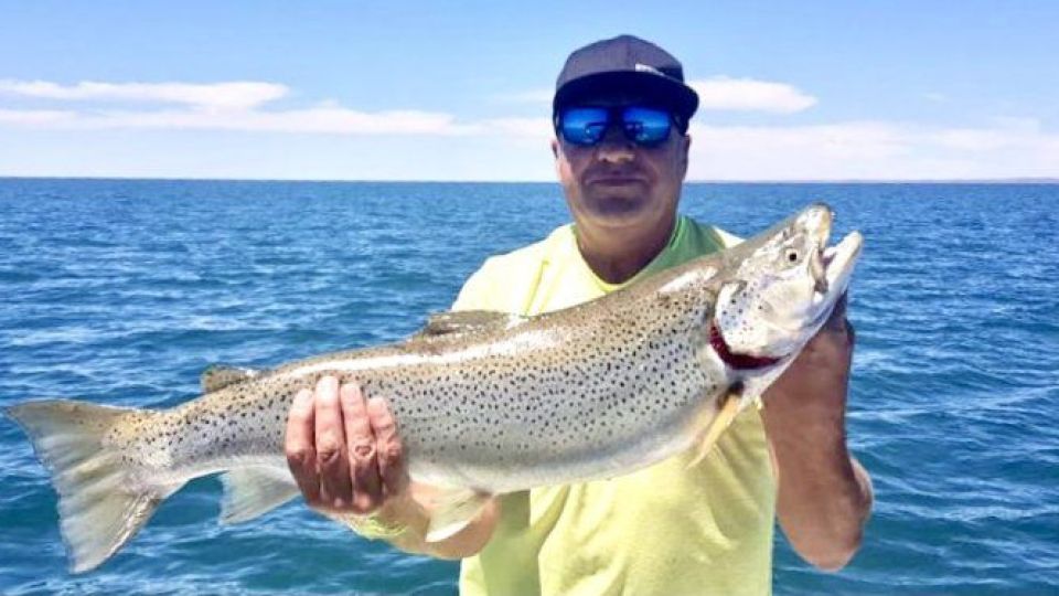 Mirá la increíble trucha amarronada que pescaron en el lago Mari Menuco