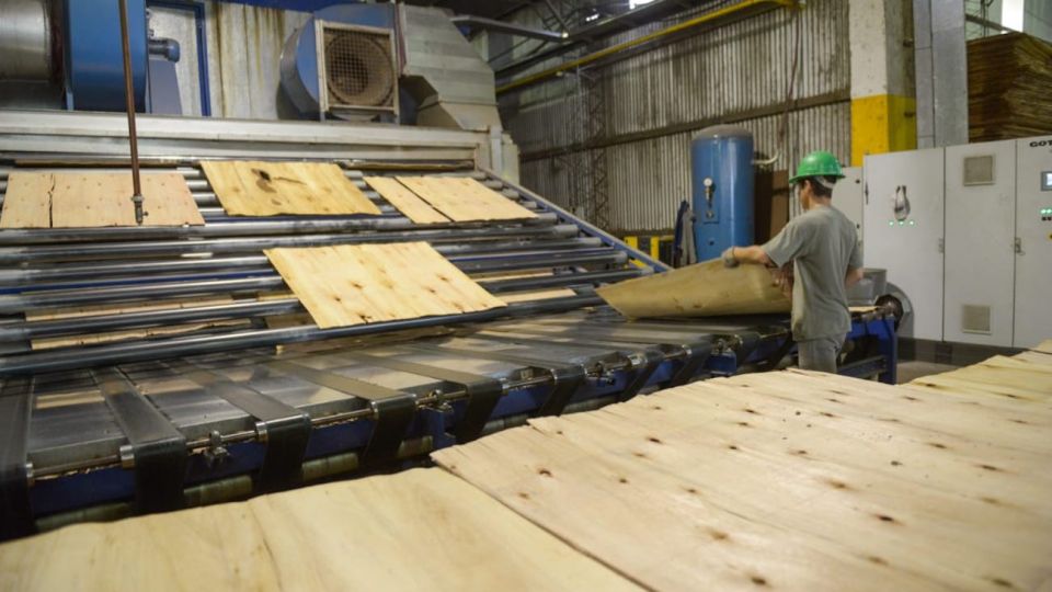 Argentina cuenta con El patrimonio de Argentina consiste en 1,3 millones de hectáreas de plantaciones forestales.