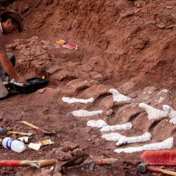 La imagen muestra a un paleontólogo durante una excavación en la que se encontraron fósiles de 98 millones de años, en la Formación Candeleros en el Valle del Río Neuquén, en el suroeste de Argentina. | Foto:Jose Luis Carballido / CTyS-UNLaM / AFP