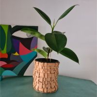 Gaudina