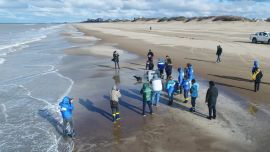 Debido al coronavirus, en 2020 asistieron a un 35% menos de animales que en 2019.