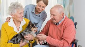 La presencia de un perro en la vida de una persona mayor supone un incremento de su salud.