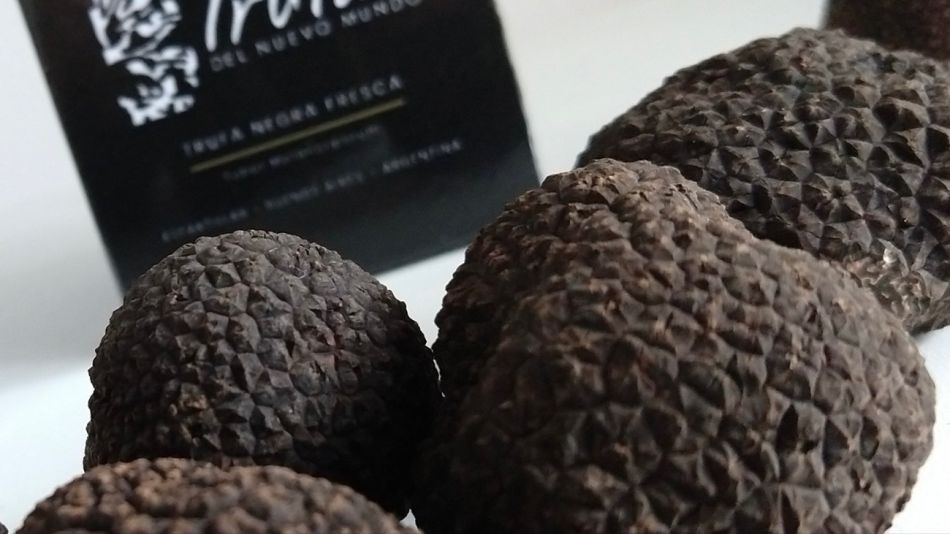 Trufas negras