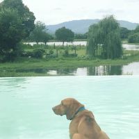 Las paradisíacas vacaciones de Nicole Neumann en Salta