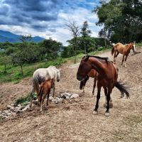 Las paradisíacas vacaciones de Nicole Neumann en Salta