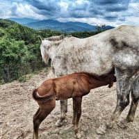 Las paradisíacas vacaciones de Nicole Neumann en Salta