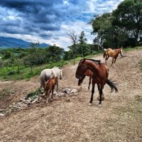 Las paradisíacas vacaciones de Nicole Neumann en Salta