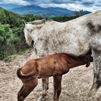 Las paradisíacas vacaciones de Nicole Neumann en Salta