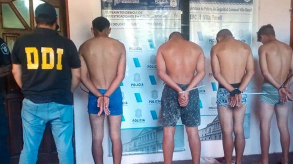 drogas cocaína harinas