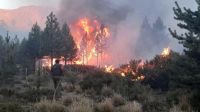 incendio el bolson g_20210126