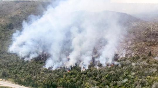 Incendio forestal en Río Negro