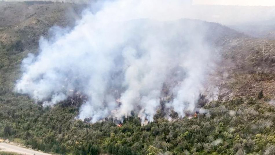 Incendio forestal en Río Negro 20210126