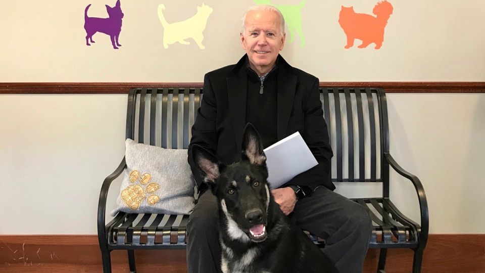 los perros de Joe Biden, "Major y Champ"