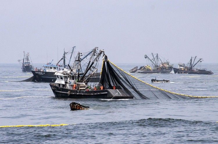 Pesca ilegal