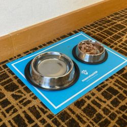 Hilton Buenos Aires, como hotel pet friendly, tiene un programa que se llama Very Important Pets, en el que con ciertos recaudos perros y gatos participan de las actividades de sus dueños.