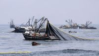 Pesca ilegal