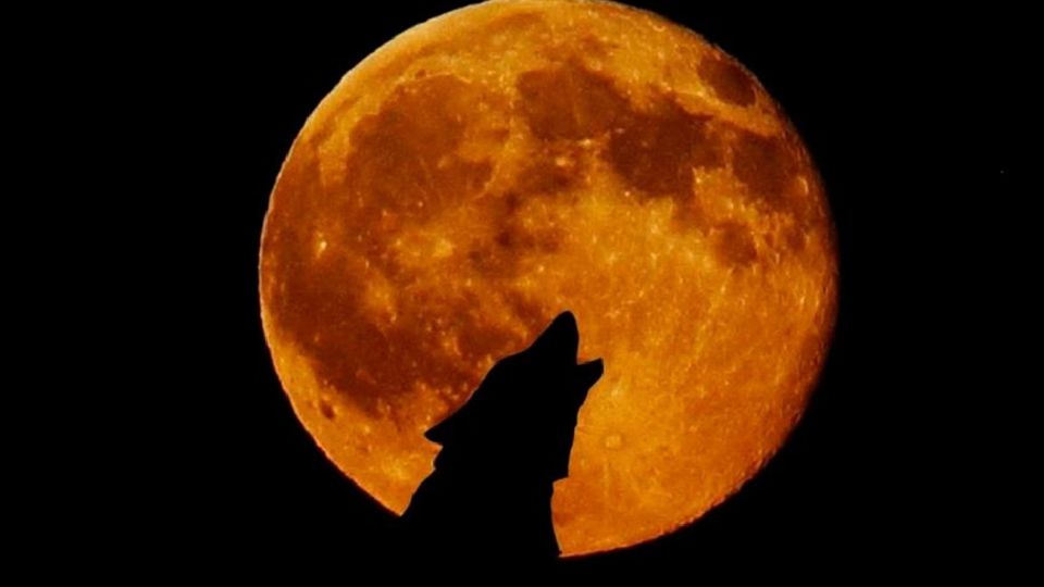 La Luna de Lobo o Luna de sangre será la primera Luna llena del año 2021.