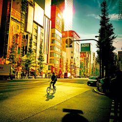 "Japón desde mi bicicleta", de Floral Zu | Foto:Gentileza Floral Zu