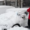 Auto Congelado