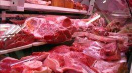 Acuerdos del Gobierno para bajar precios carne: "Comerciantes alertan sobre competencia desleal"Acuerdos del Gobierno para bajar precios carne: "Comerciantes alertan sobre competencia desleal"