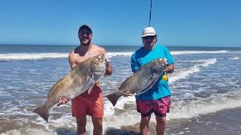 La pesca deportiva de las Pogonias Cromis, más conocidas como corvinas negras, es una de las que conforman el Grand Slam de especies que podemos capturar desde la costa de nuestro litoral marítimo.