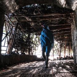 Un hombre camina por un pasaje a orillas del lago Tana, en Bahir Dar, Etiopía. | Foto:Eduardo Soteras / AFP