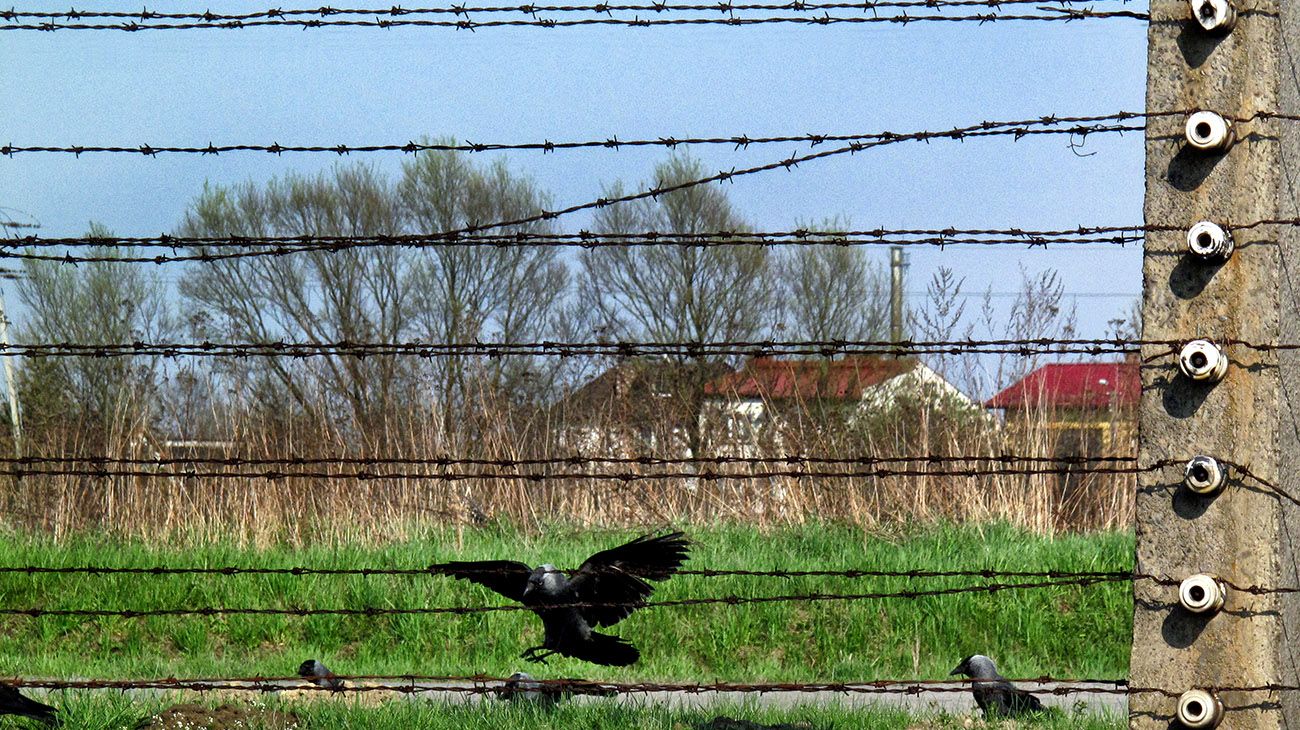 Sobrevivientes de la Shoah, por Pablo Cuarterolo