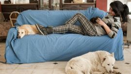 Vivir en un departamento no es excusa válida para no tener un perro.