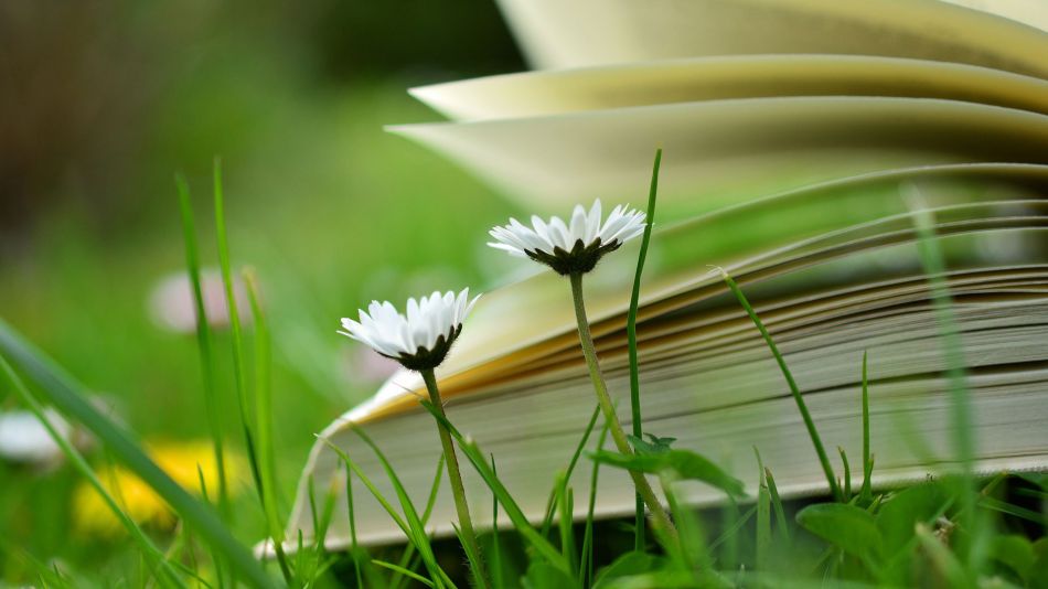 Lectura en vacaciones