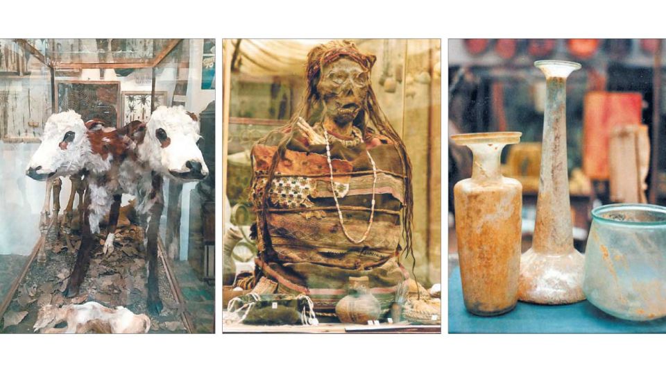 Alucinante. La multiplicidad de vitrinas con objetos en exposición, que van desde un cordero de dos cabezas y momias, hasta sillones de dentista de distintas épocas.