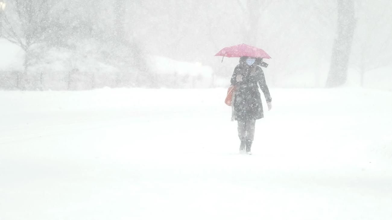 Nevadas en New York