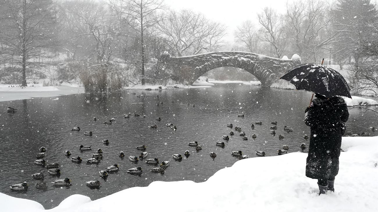 Nevadas en New York