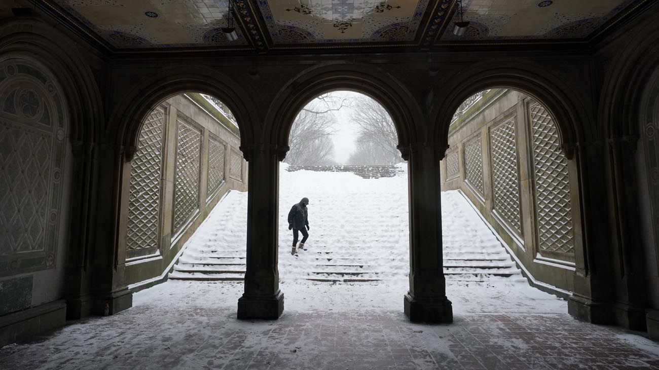 Nevadas en New York