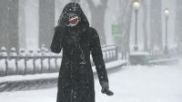 Nevadas en New York