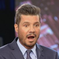 Un grupo de carpinchos invadió la casa de Marcelo Tinelli