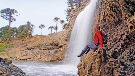 Copahue y Caviahue, entre burbujas y araucarias