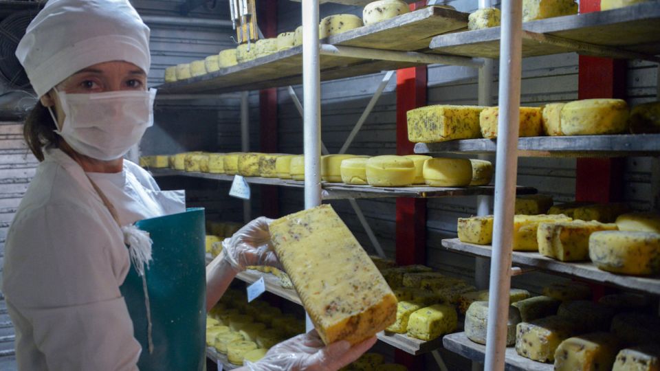 Se consideran establecimientos artesanales a los que producen hasta 1.000 litros por día.