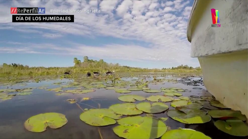 Preocupación por la extinción de los humedales 