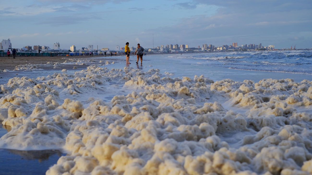 Una densa espuma marina, sin efectos nocivos para los bañistas, cubrió hoy las playas de Mar del Plata y Santa Clara del Mar, lo que soprendió a los pocos turistas que aprovecharon los disntos balnearios en un día nublado y con lloviznas pasajeras.